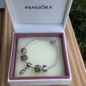 Pandora Bracelet, 5 charms, never worn